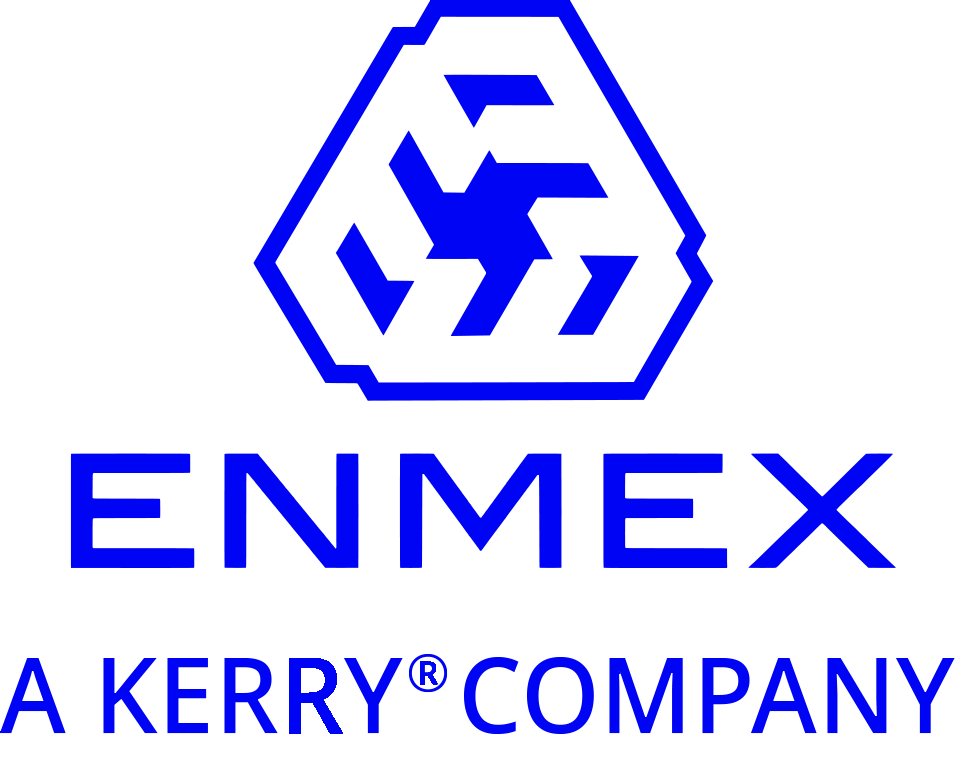 logo empresa enmex en tono gris