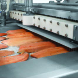 detalle de agujas inyectoras sobre filetes de salmon